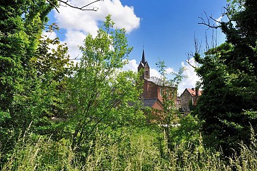 Promenade de la Rainette des Marais autour du Château de Fallais