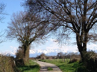 Abère : belvédère du Lées