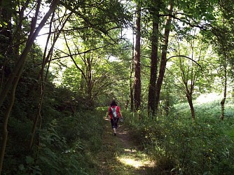 Notre Dame de Massillergue trail