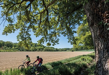 Arzacq-Arraziguet : de la bastide à la forêt à VTT
