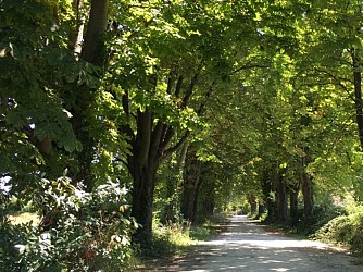 Boucle du Greseau et de Baron