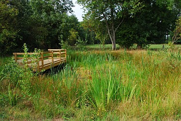 Circuit N°33 - Circuit du Papillon - La mare au thym