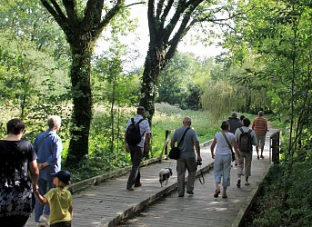 GR 349 (Officiel): étape 02 Le Guerno /Péaule (La Falaise)