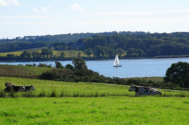 GR 349 (Officiel): étape 09 Barrage d'Arzal/Le Moustoir