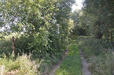 Sentier de la Longue Borne