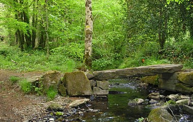 Noyal-Muzillac: Circuit des 3 Rivières (officiel)