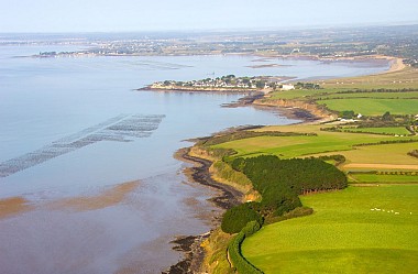 Muzillac: Circuit des Vignes (officiel)