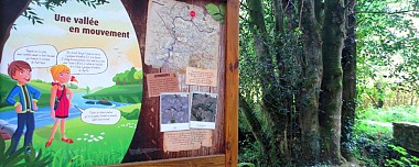 Noyal-Muzillac: Boucle botanique de La Michochêne (officiel)