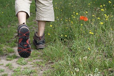 Promenade en Bocage Saint-Sorninois - PR 9