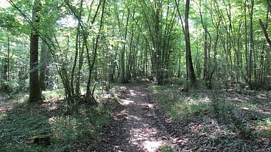 Cassagnabère-Tournas "Sentier de Mauboussin"