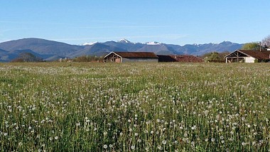 Les Toureilles "Pile funéraire de Clergue"