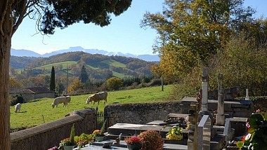 Saint-Plancard "Chêne de L'Hourmagne"