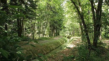 GR86 P12 Arboretum de Cardeilhac à Le Cuing