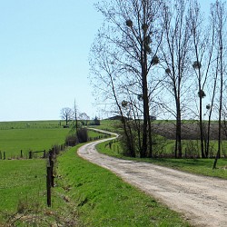 Circuit des verriers et du massif forestier de Moriville