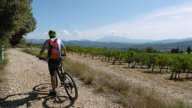 Entre vignes et panoramas