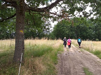 Randonnée "Sentier des Pays d'En Haut"
