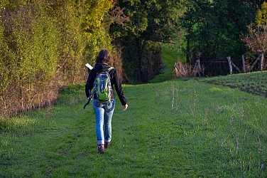 Circuit de la pierre cochée