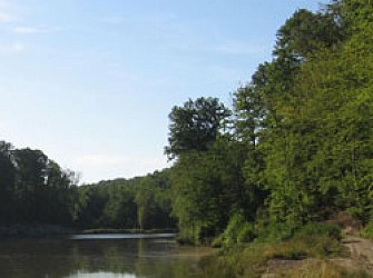 Autour de Vienne le Château, les forêts des Hauts Bâtis à VTT