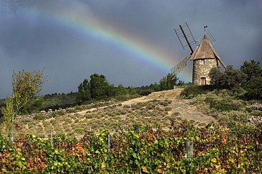 ROUTE DES VINS - D'AIR ET DE PIERRES