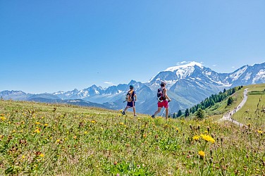 La Crête du Mont d'Arbois