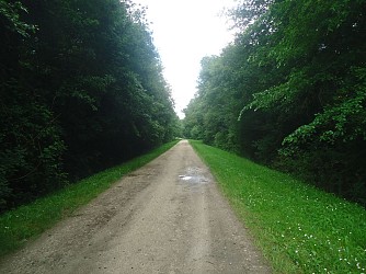 Balade à roulettes : Le marais d'Arcins