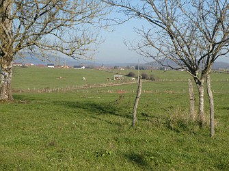Circuit pédestre "La ronde du Paquis" - Vosges du Sud