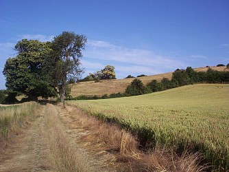 Sur les hauteurs de Bourgoin