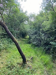 image du circuit