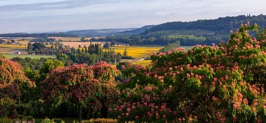Sur les pas des comtes d'Armagnac