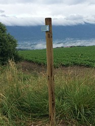Grey pedestrian route: Valleiry - Jurens