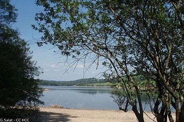 Circuit of discovery