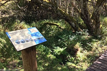 Les Sources de la Creuse