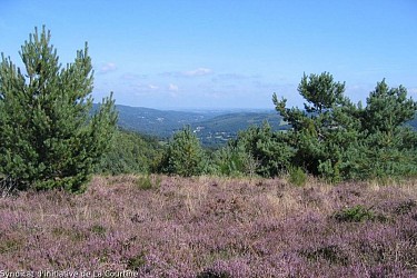 La Lande du Puy Raynaud