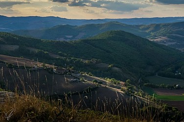 The wine presses and the rock tombs in Savignac