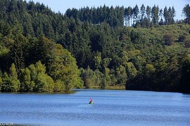 Let's walk along the path by the pond