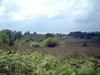 Circuit des Tourbières