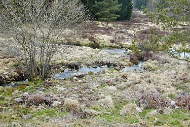 Rencontre avec les éoliennes