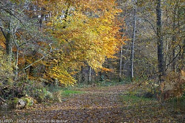 Sentier de Brignac au Moulin du Got