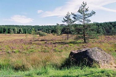 Millevaches trail with Longeyroux