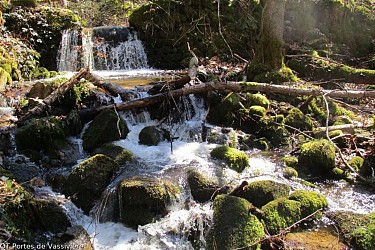 Le Ruisseau des Moulins