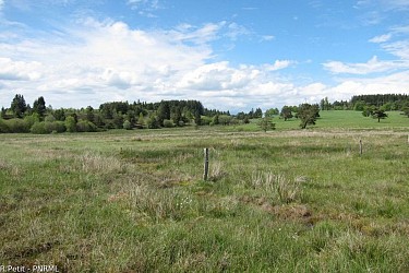Puy des Pouges Trail