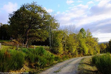 Larbre Circuit