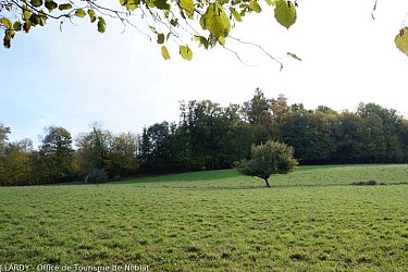 The Parleur circuit