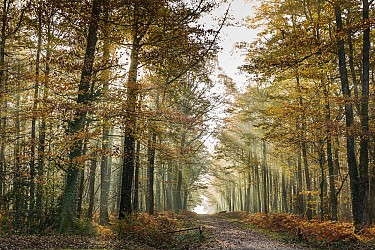 Circuit des Bois