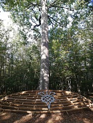 Parcours Tronçais VTT/VTC "Retour aux Racines"