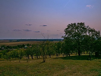 Up and down the mountain