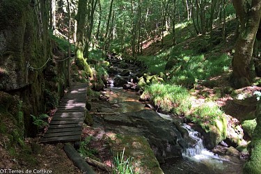 La cascade de la Tine