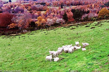 Landes et Tourbières