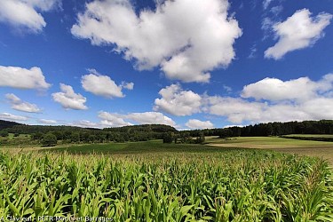 Circuit du Suquet de la Grolle