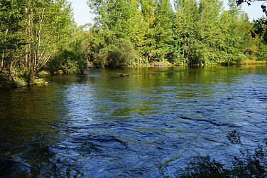Boisset-Les-Montrond - A la découverte des Bords de Loire
